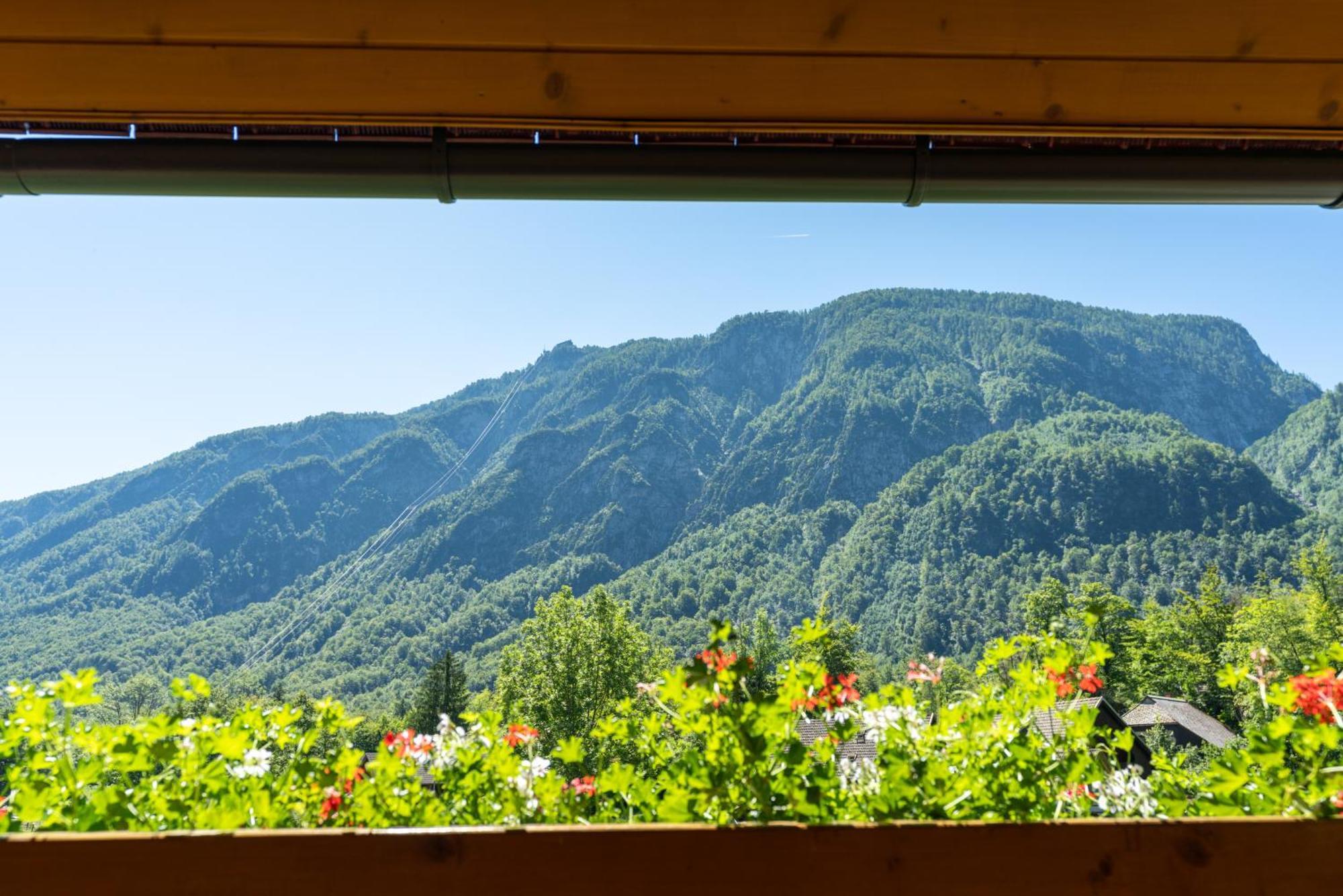 Alpik Chalets - Bohinj Δωμάτιο φωτογραφία